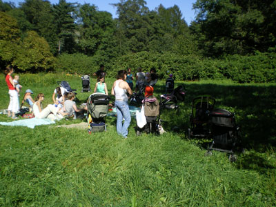 :  IMGP0992.jpg
: 38
:  48,3 