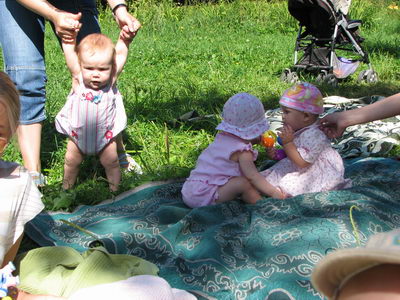 :      .jpg
: 35
:  59,0 