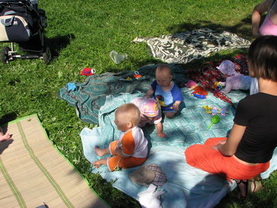 :     .jpg
: 35
:  56,6 