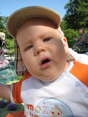 :  .jpg
: 34
:  37,3 