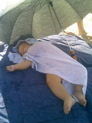 :  20070811(040).jpg
: 31
:  25,3 