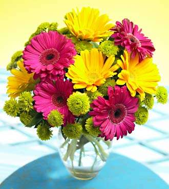 :   .jpg
: 234
:  20,7 