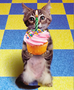 :  27162100.jpg
: 63
:  38,8 