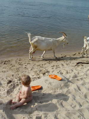 :  DSC03251.JPG
: 38
:  27,4 