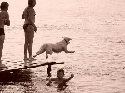 :  DSC03305.JPG
: 41
:  29,3 