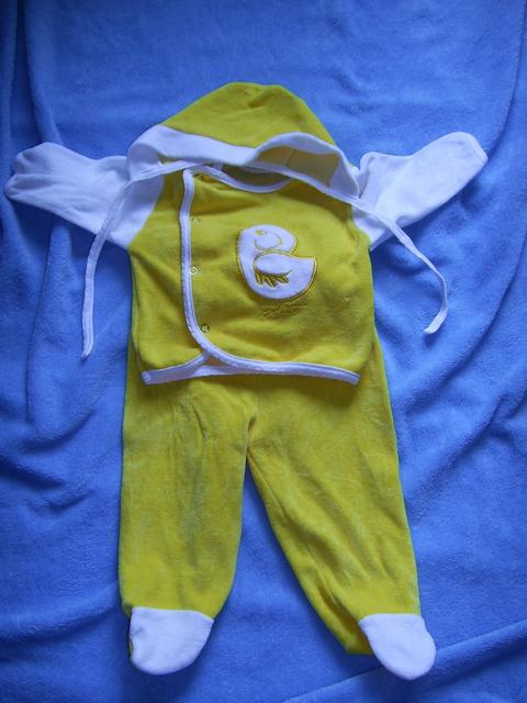 :  .jpg
: 53
:  41,2 