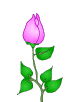 :  927.gif
: 122
:  23,6 