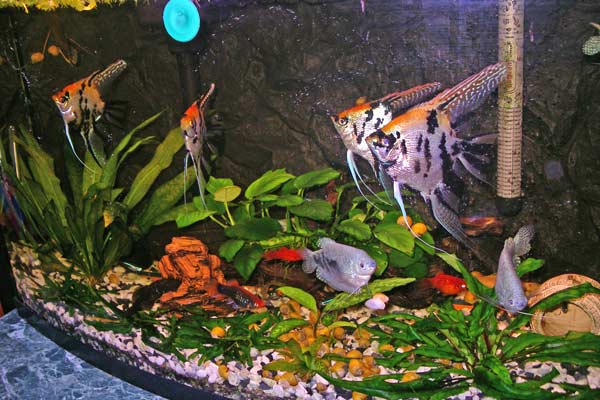 :  2007,08,27-094.jpg
: 66
:  54,8 