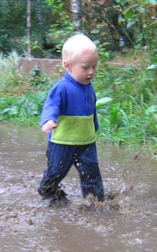 :  IMG_323612.jpg
: 42
:  55,5 