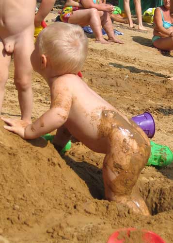 :  IMG_318612.jpg
: 41
:  55,2 