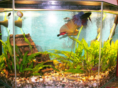 :  2006,08,25-010.jpg
: 76
:  59,4 