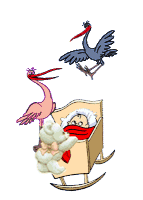 :  4946071d9a7c48abe77dff0ab0a80207.gif
: 84
:  12,9 