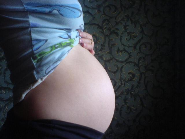 :  DSC00271.jpg
: 85
:  27,1 