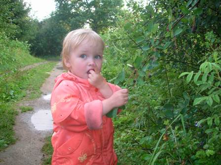 :  DSCN6388.jpg
: 42
:  41,4 