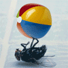 :  animalolavatars4_20061001_1609286235.gif
: 140
:  26,3 