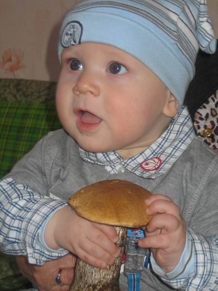 :   _ 07  3.jpg
: 62
:  51,5 