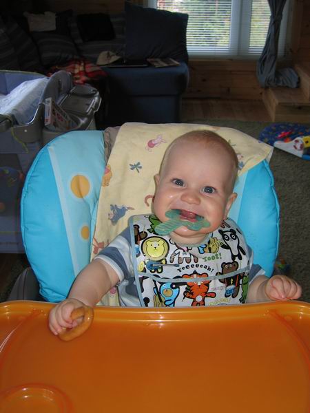 :   _ 07  10.jpg
: 58
:  43,4 