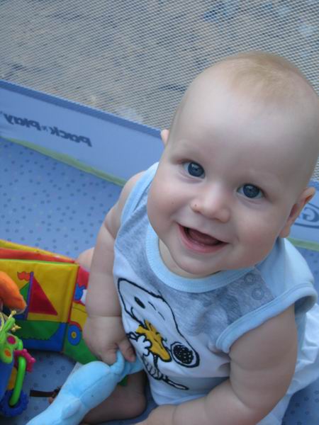 :   _ 07  9.jpg
: 57
:  45,8 