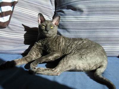 :      1.jpg
: 43
:  35,2 