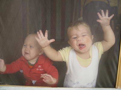 :  DSC03540.JPG
: 50
:  22,9 