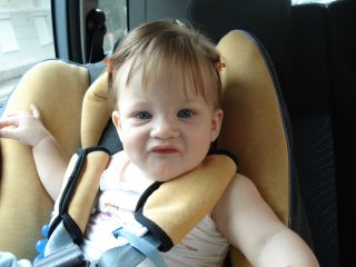 :   .JPG
: 49
:  32,2 