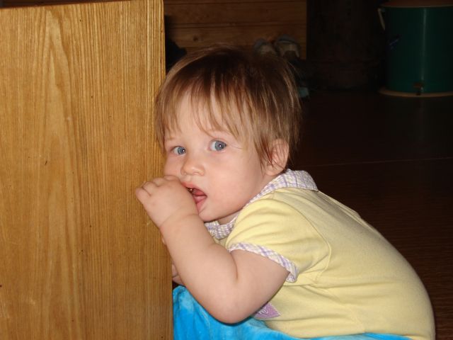 :   .jpg
: 41
:  51,5 