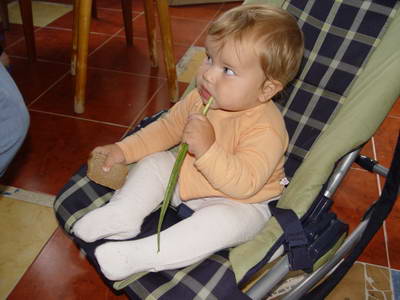 :  DSC03711.JPG
: 43
:  31,0 