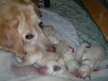 :  04.09.jpg
: 122
:  24,7 