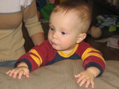 :  .jpg
: 48
:  33,1 