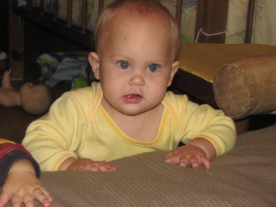 :  .jpg
: 47
:  29,4 