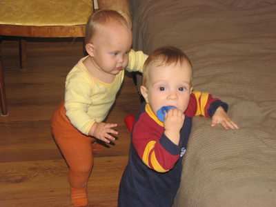 :    2.jpg
: 46
:  31,0 