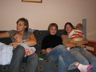 :  , , .jpg
: 48
:  31,5 