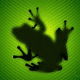 :  kva1.gif
: 115
:  7,8 