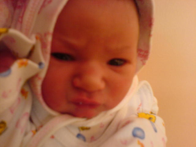 :  DSC00284.jpg
: 95
:  21,8 