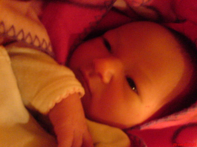 :  DSC00304.jpg
: 95
:  34,0 