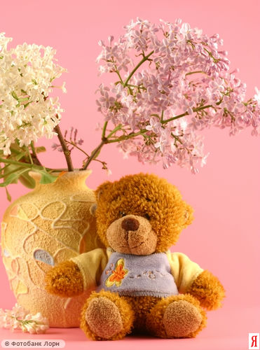 :  0000049144-YND.jpg
: 73
:  48,3 