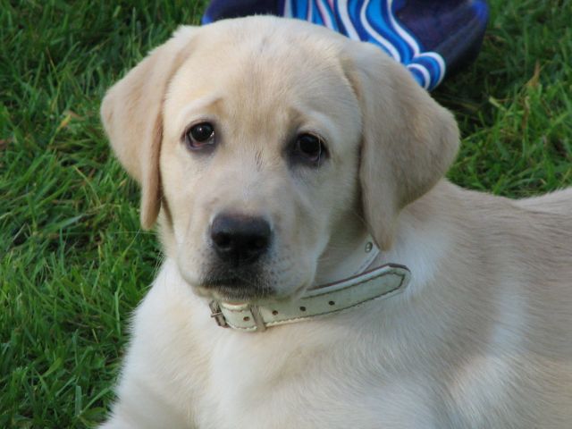 :  189.jpg
: 93
:  53,3 