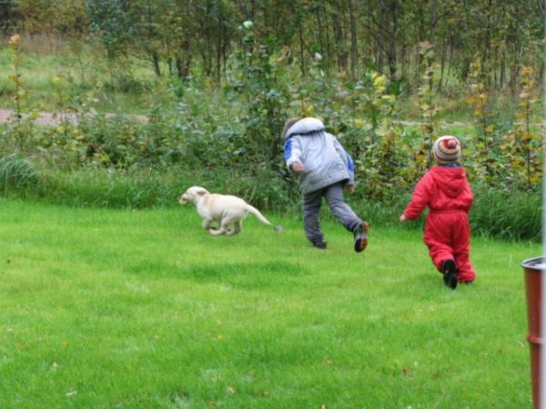 :  158.jpg
: 95
:  62,7 