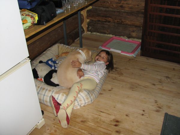 :  168.jpg
: 95
:  44,8 