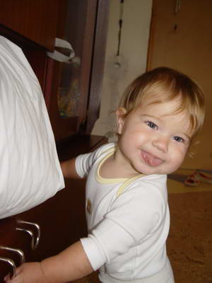 :  DSC04477.JPG
: 53
:  19,8 