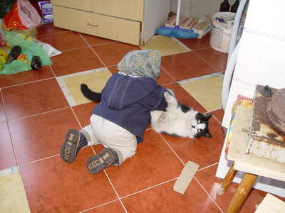 :  DSC04593.JPG
: 56
:  33,1 