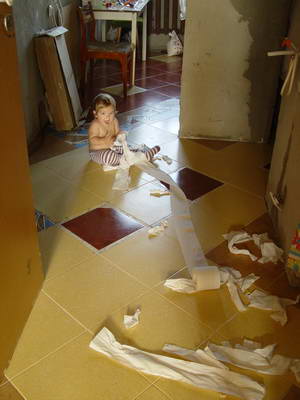 :  DSC04618.JPG
: 55
:  22,7 