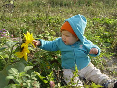 :  DSC04641.JPG
: 65
:  48,1 