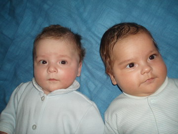 :  3,5 .jpg
: 1277
:  34,8 