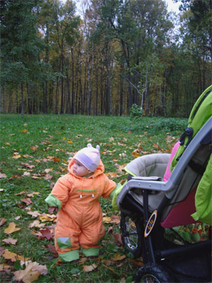 :  ---.jpg
: 43
:  53,7 