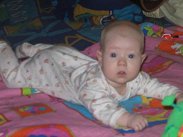 :  Picture 155.jpg
: 51
:  36,9 