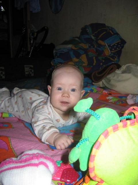 :  Picture 154.jpg
: 51
:  36,8 