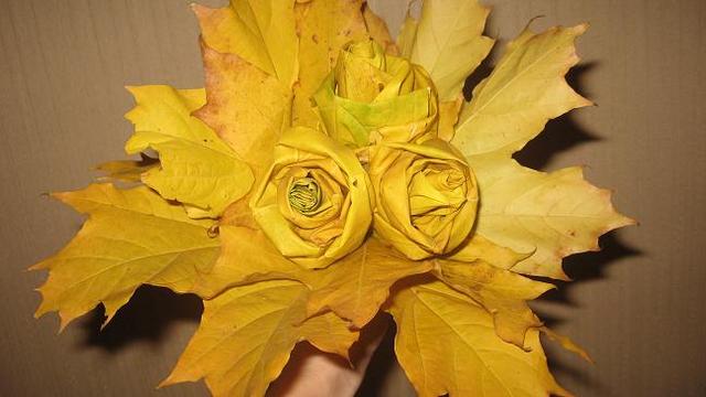 :   193.jpg
: 62
:  31,5 