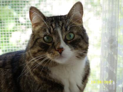 :  .jpg
: 25
:  22,8 