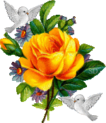 :  27395b483da0b389eaff01c4958c8069.gif
: 49
:  28,4 